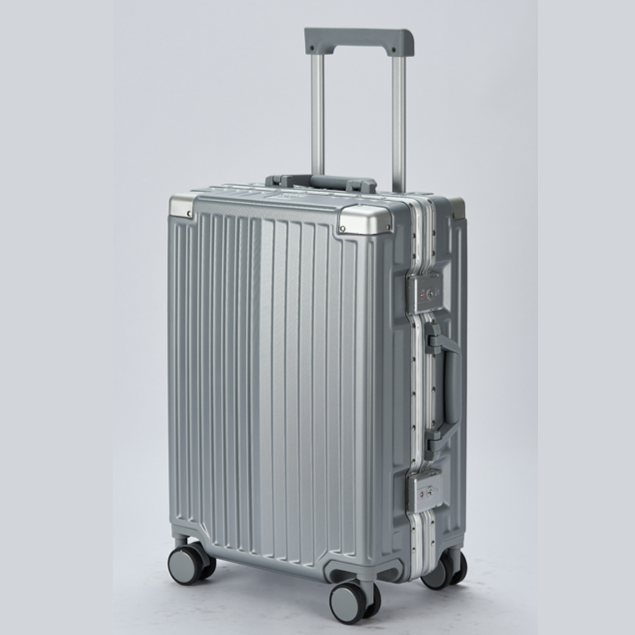 Alu Carry On 20"